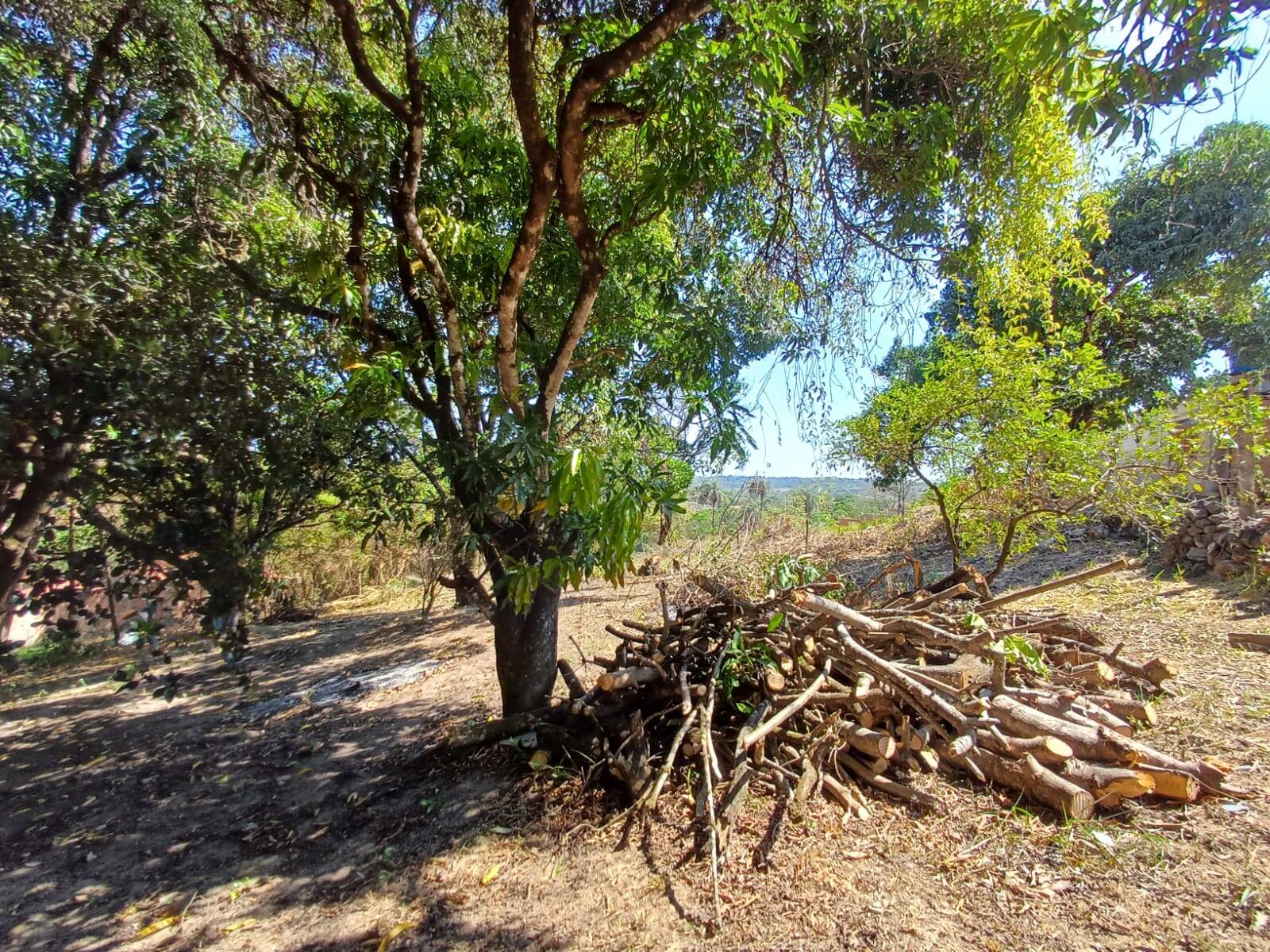 Lote à venda no Jardim Anchieta: 