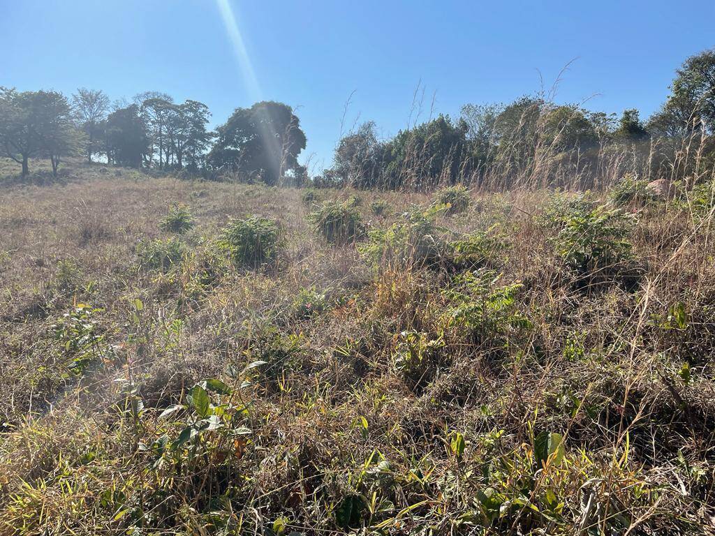 Lote à venda no Povoado Eixo Quebrado: 