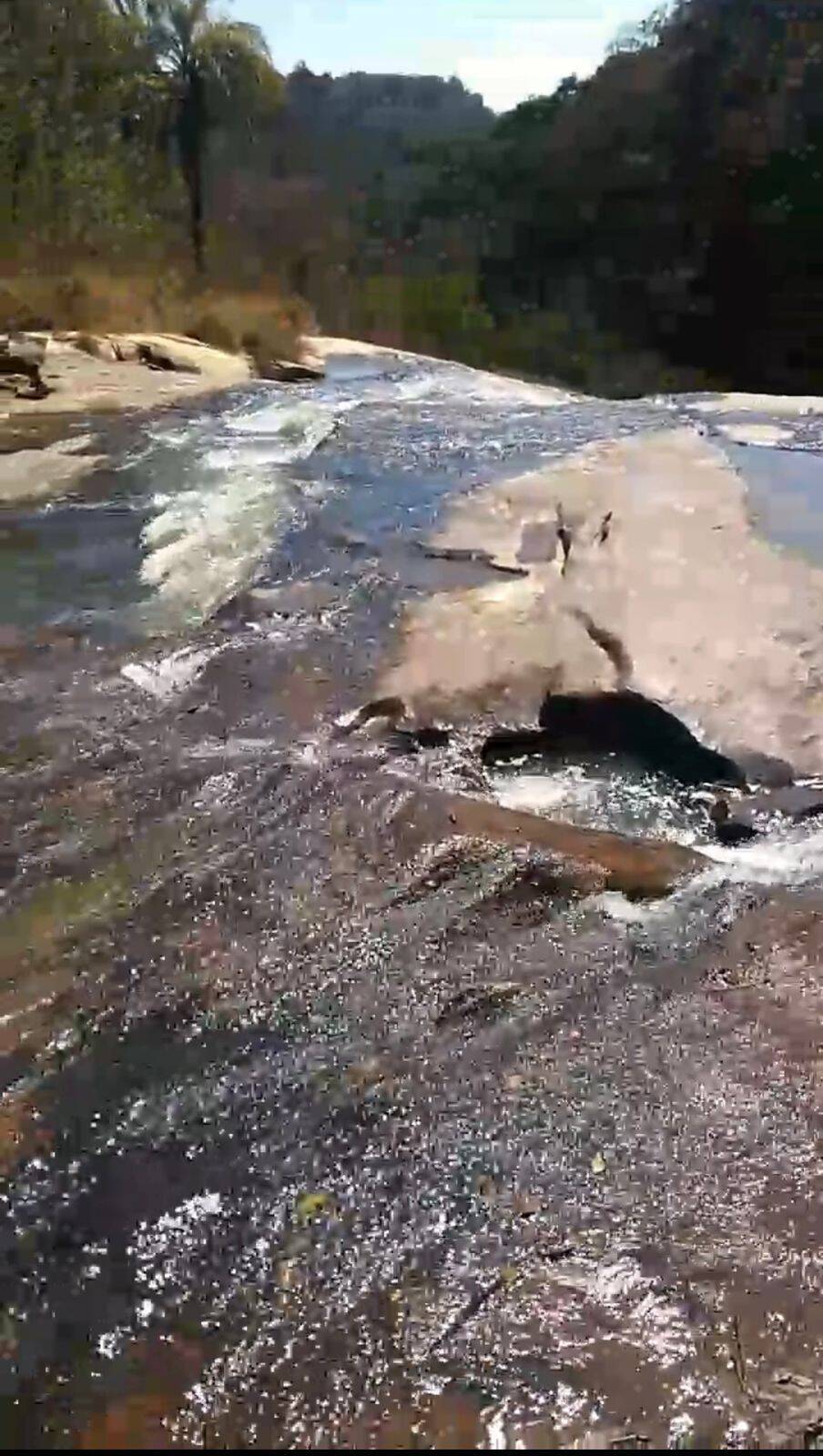 Sítio à venda no Povoado Eixo Quebrado: 