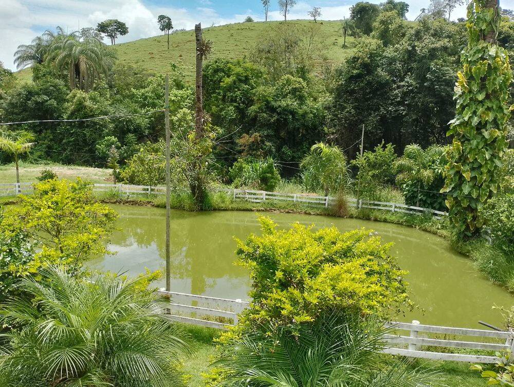 Sítio à venda no Bom Jardim: 