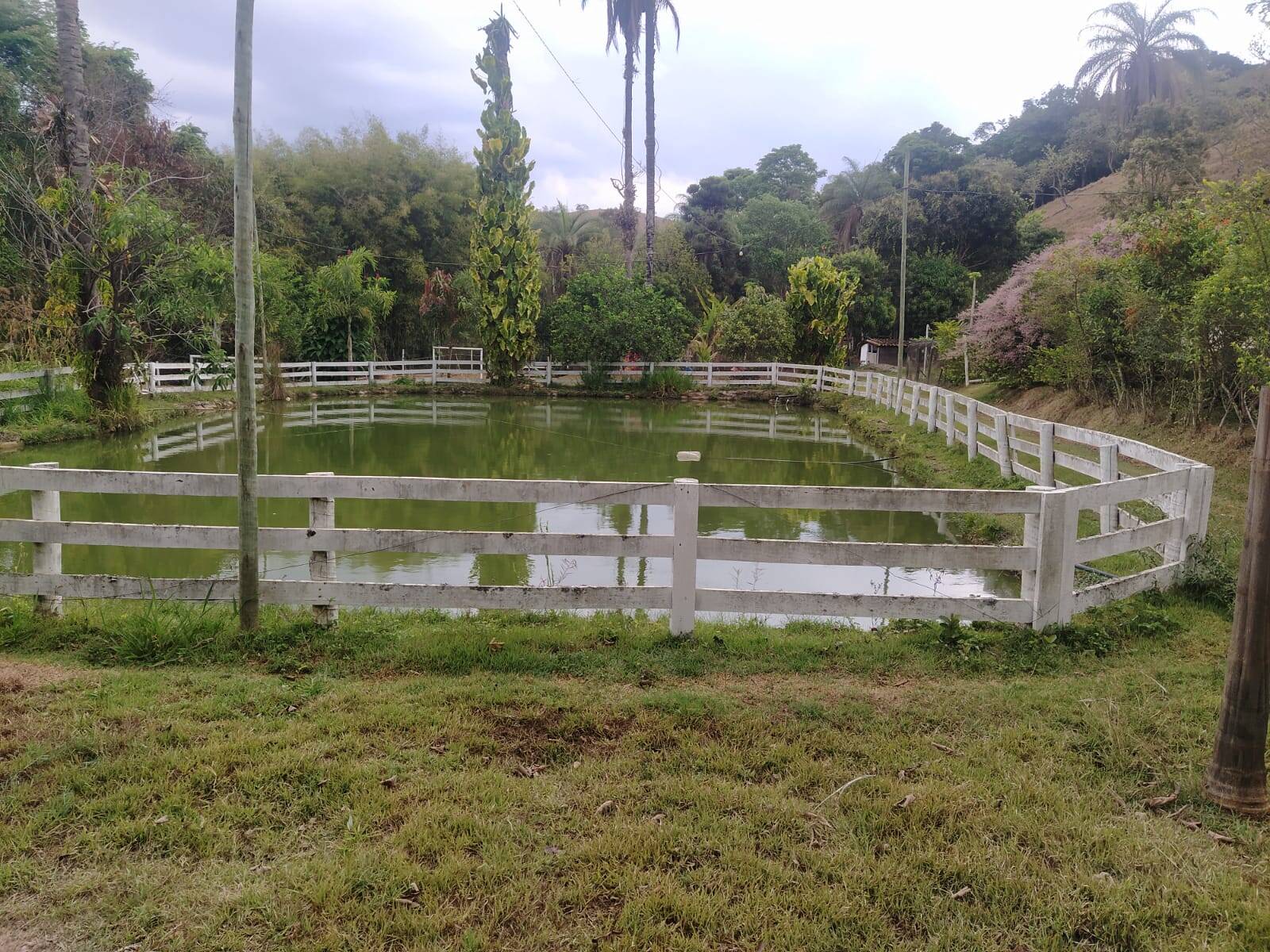 Sítio à venda no Bom Jardim: 
