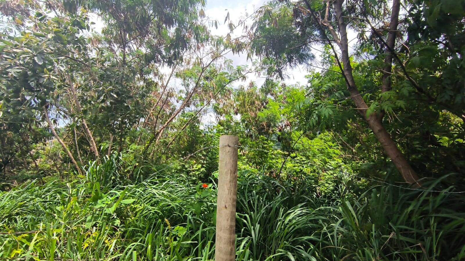Lote à venda no Brasília: 