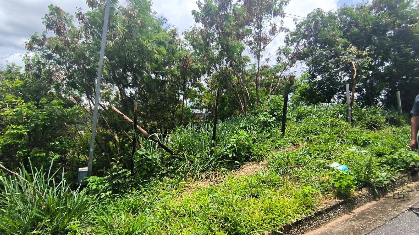 Lote à venda no Brasília: 