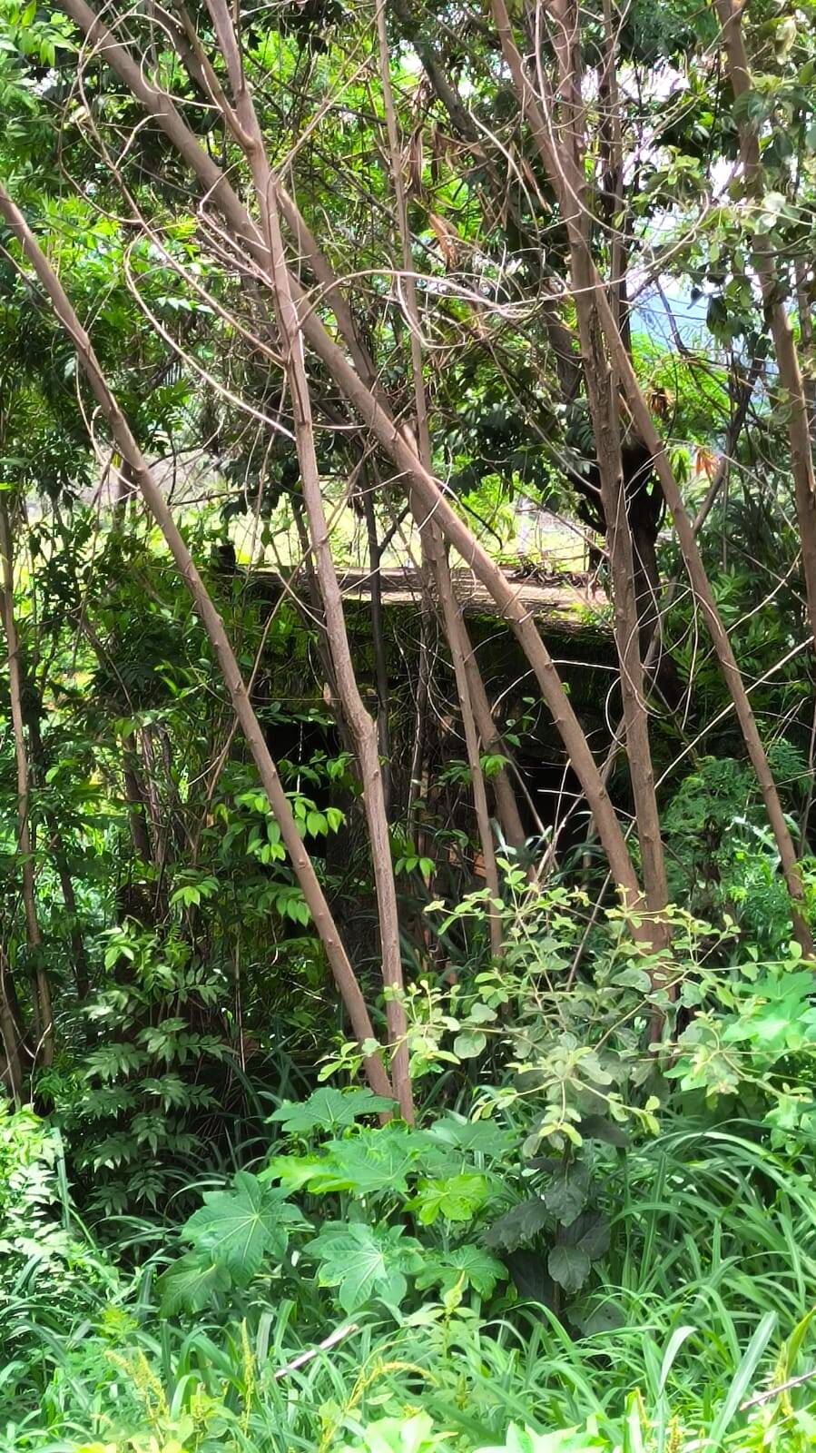 Lote à venda no Brasília: 