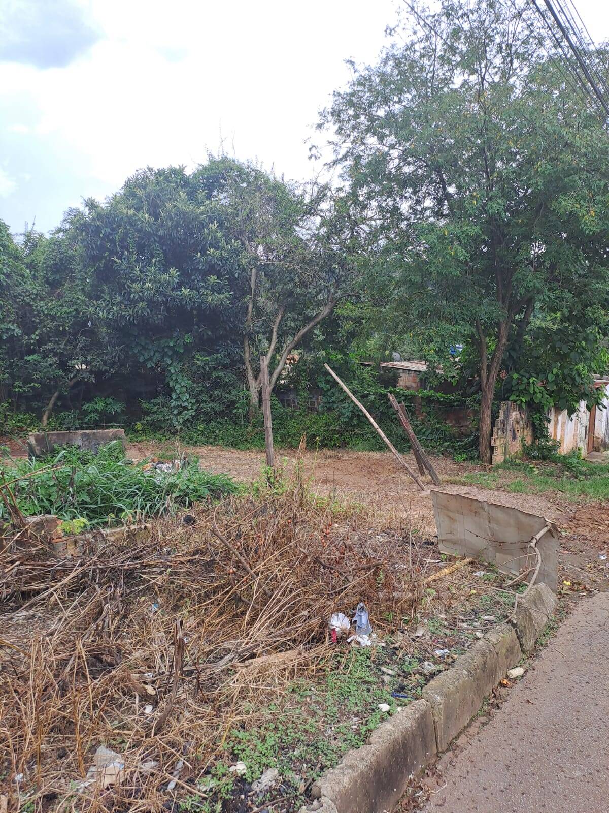 Lote à venda no Brasília: 