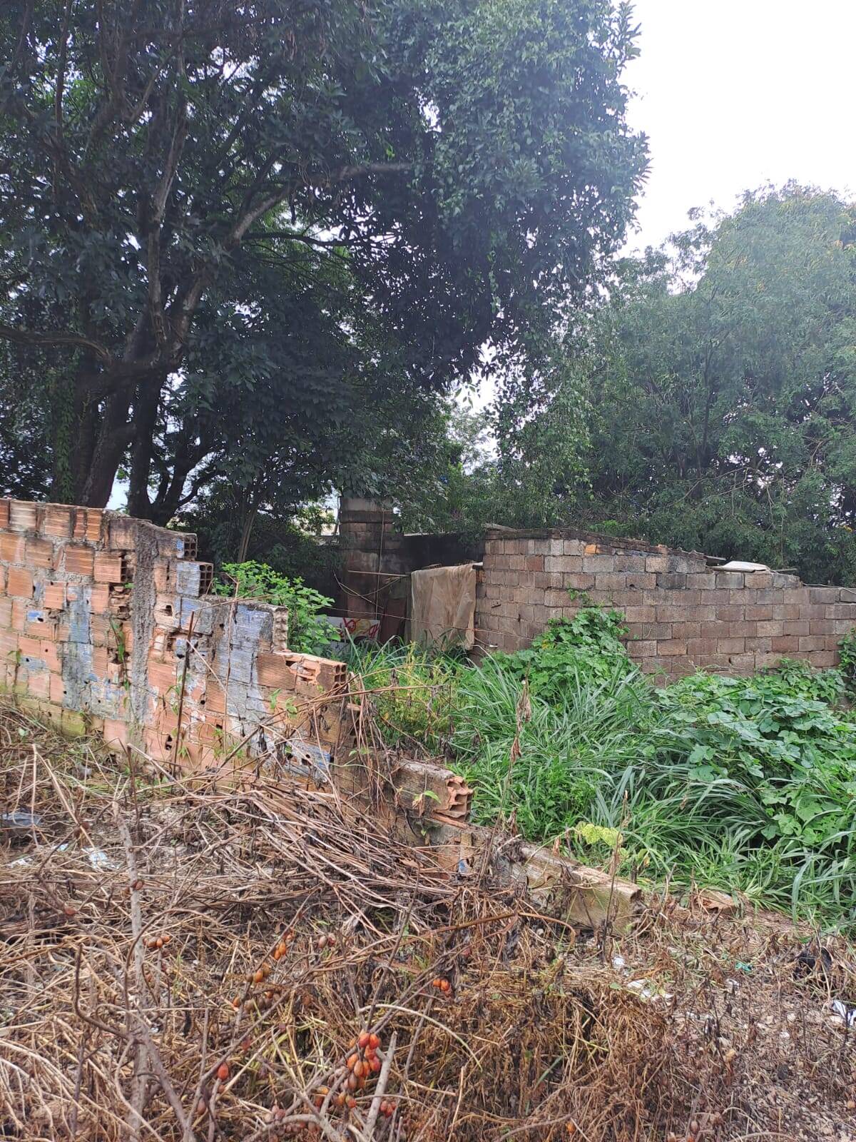Lote à venda no Brasília: 