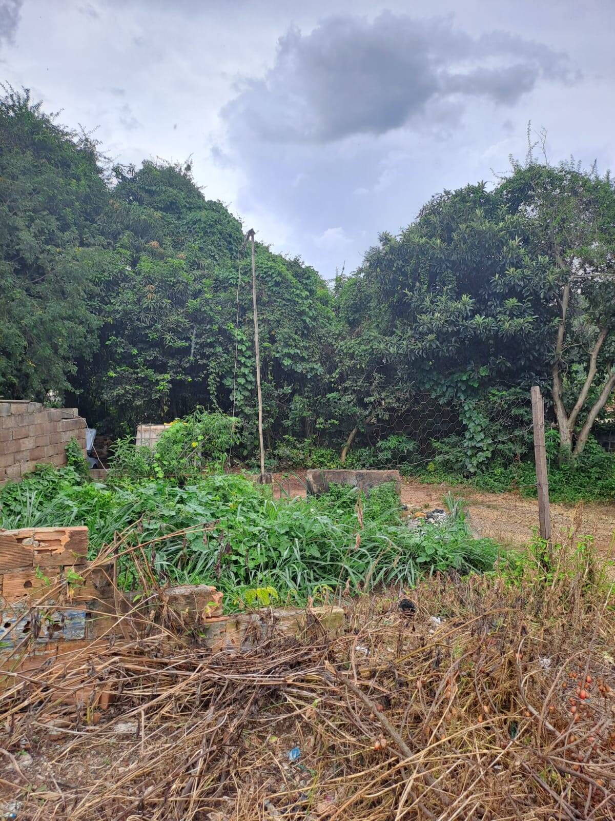 Lote à venda no Brasília: 