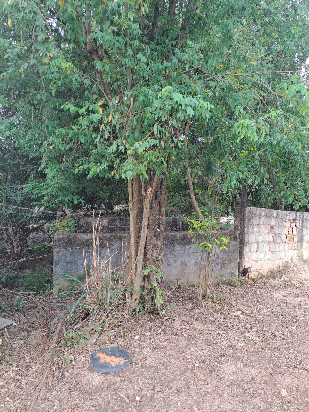 Lote à venda no Brasília: 