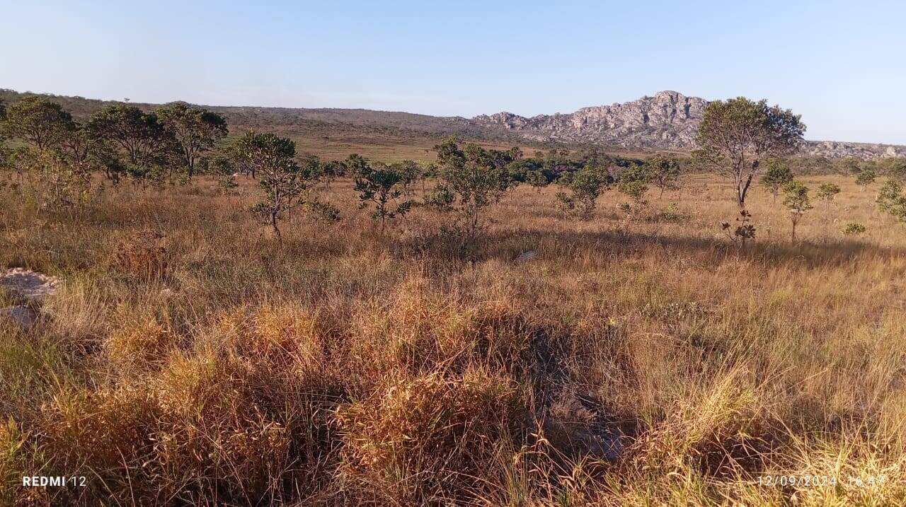 Terreno à venda no Centro: 