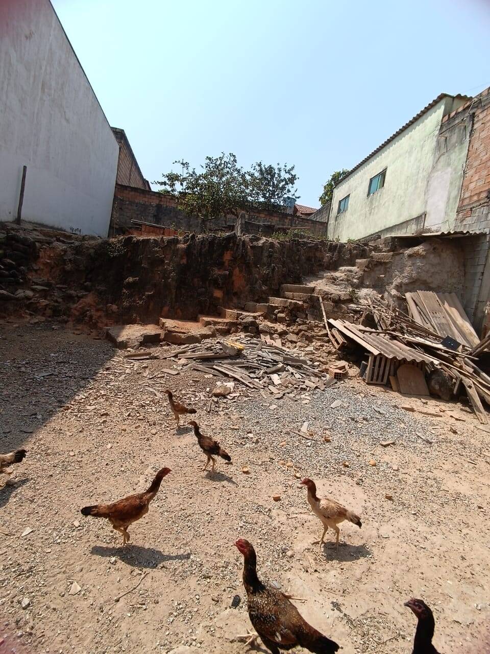 Lote à venda no Serra Azul: 