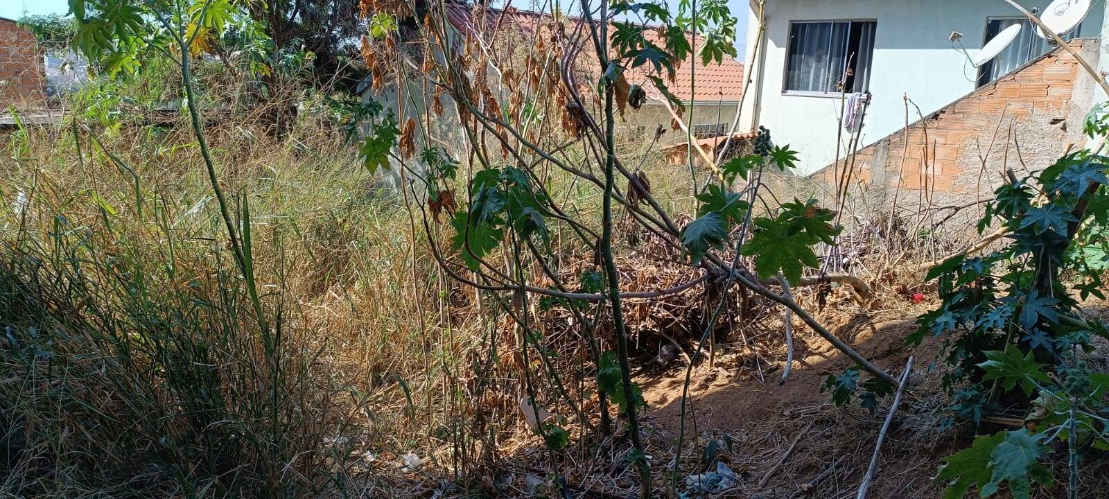 Lote à venda no Jardim Montreal - 1 Seção: 
