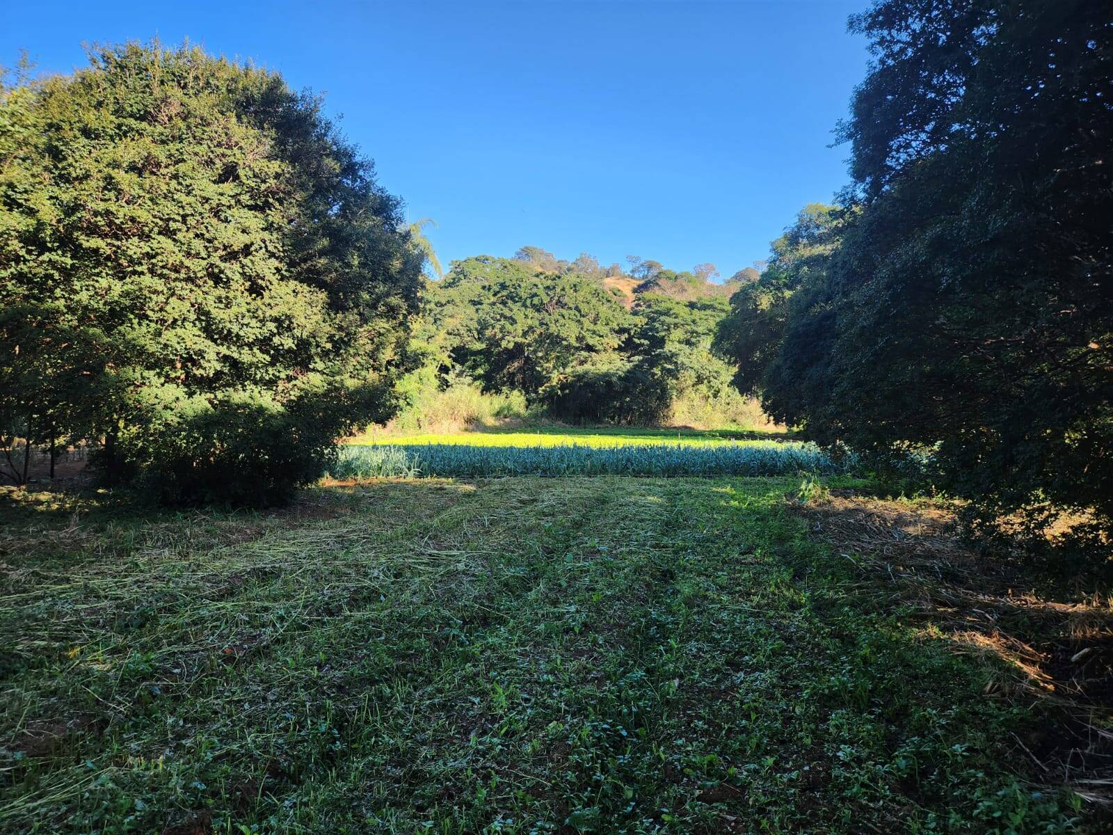 Terreno à venda no Vila da Serra: 