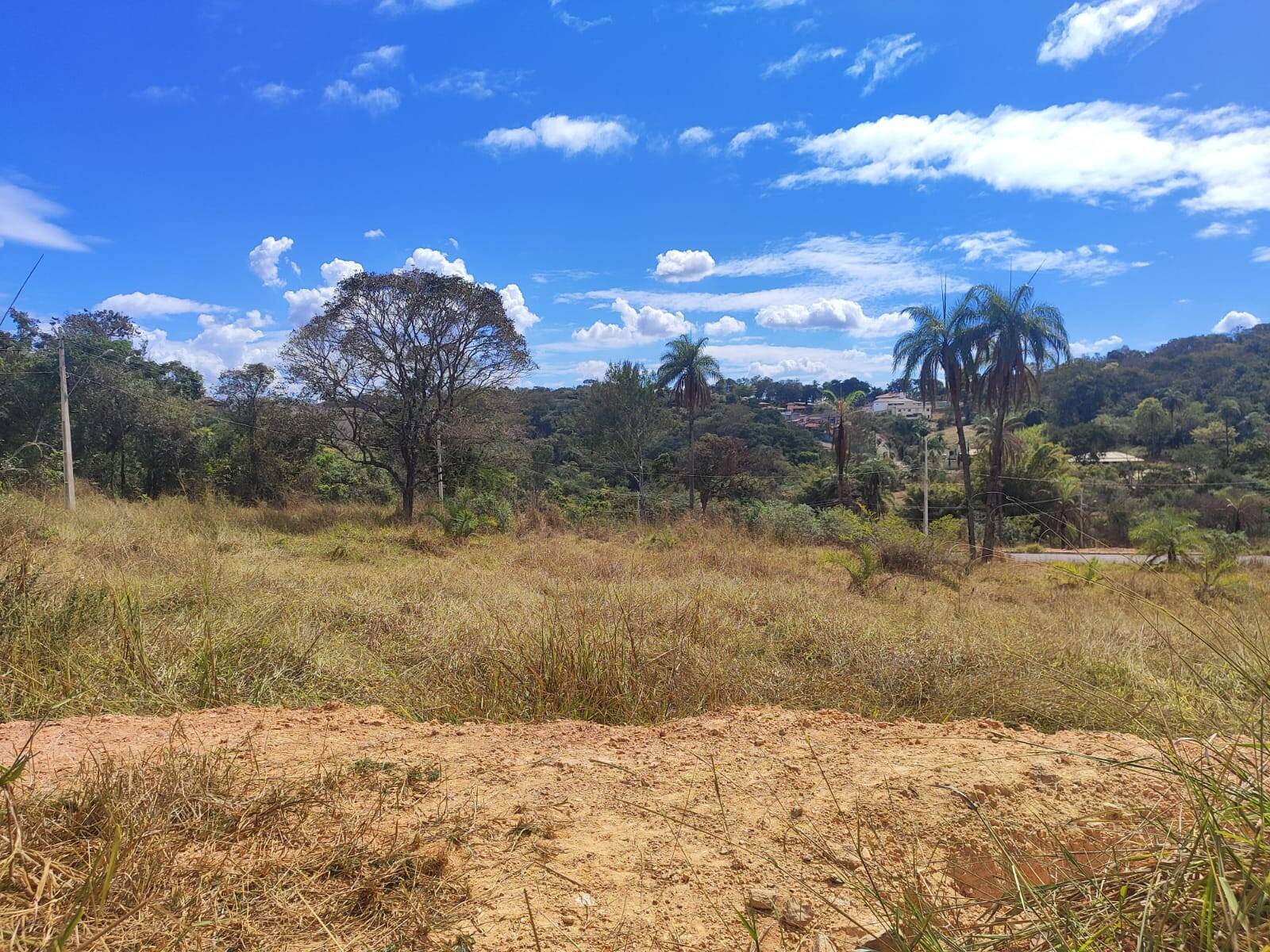 Lote à venda no Novo Horizonte: 