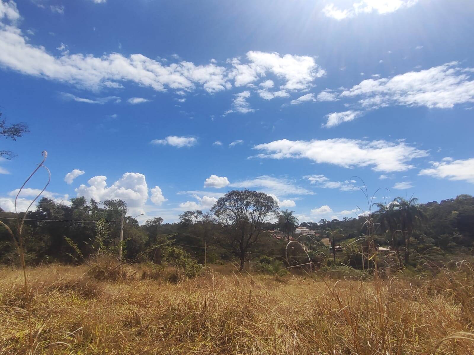 Lote à venda no Novo Horizonte: 