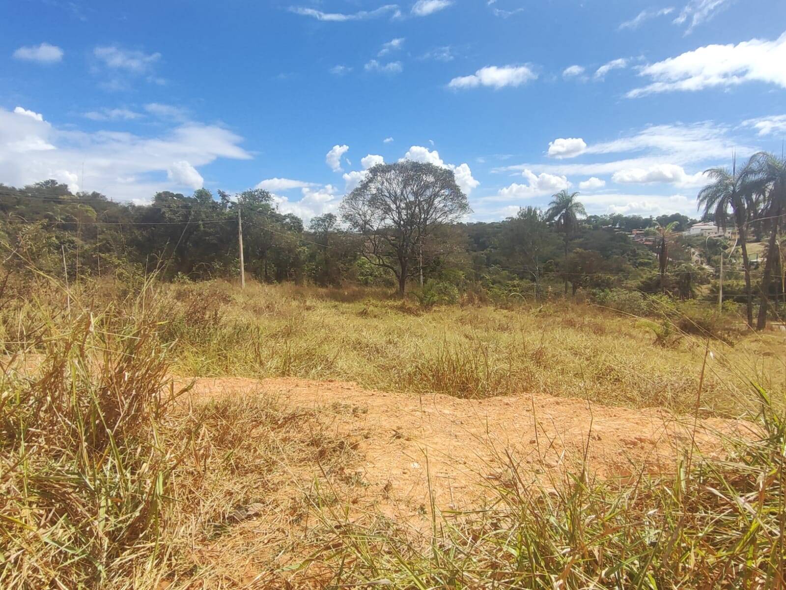 Lote à venda no Novo Horizonte: 