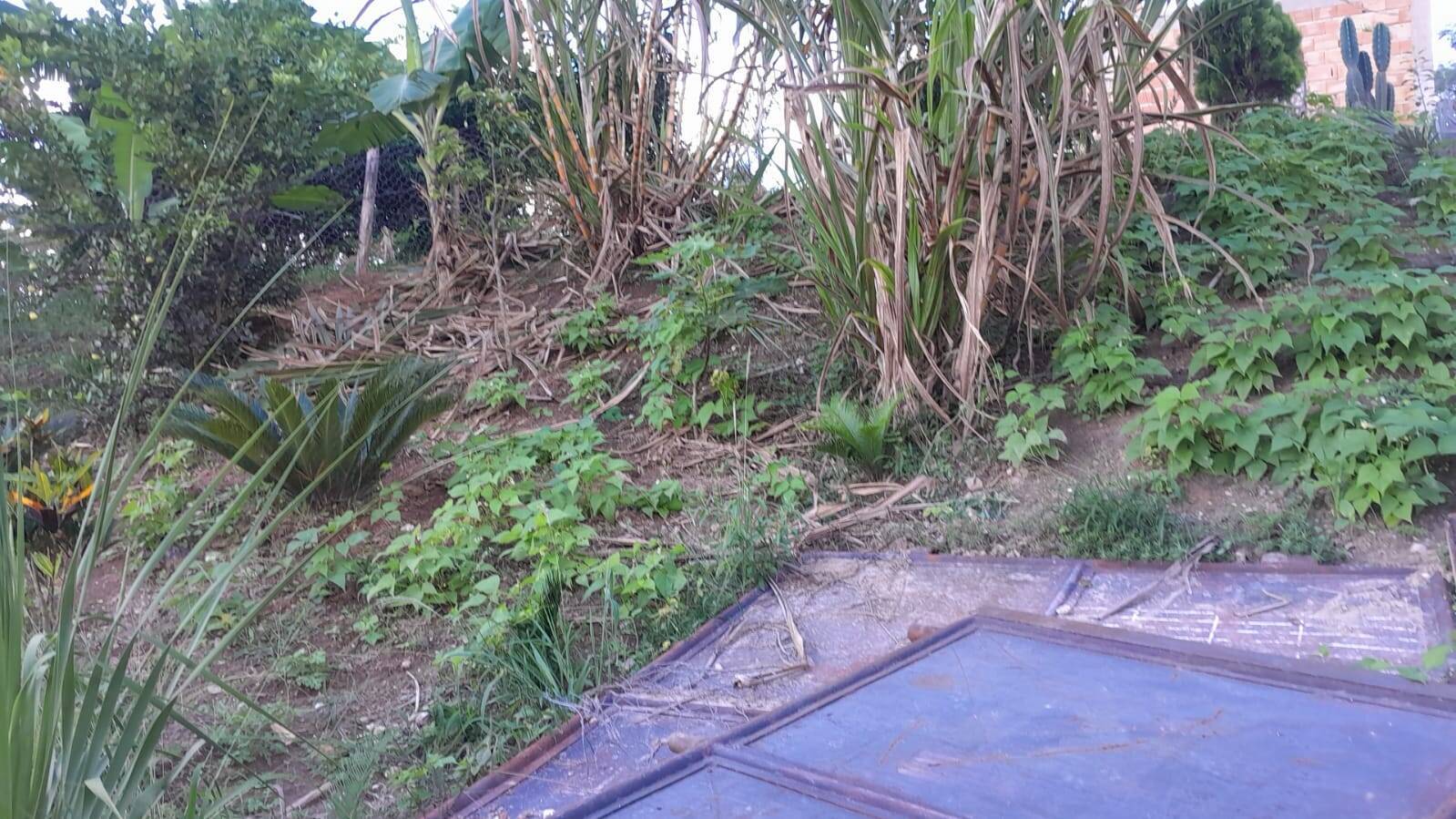 Lote à venda no Jardim Nazareno: 