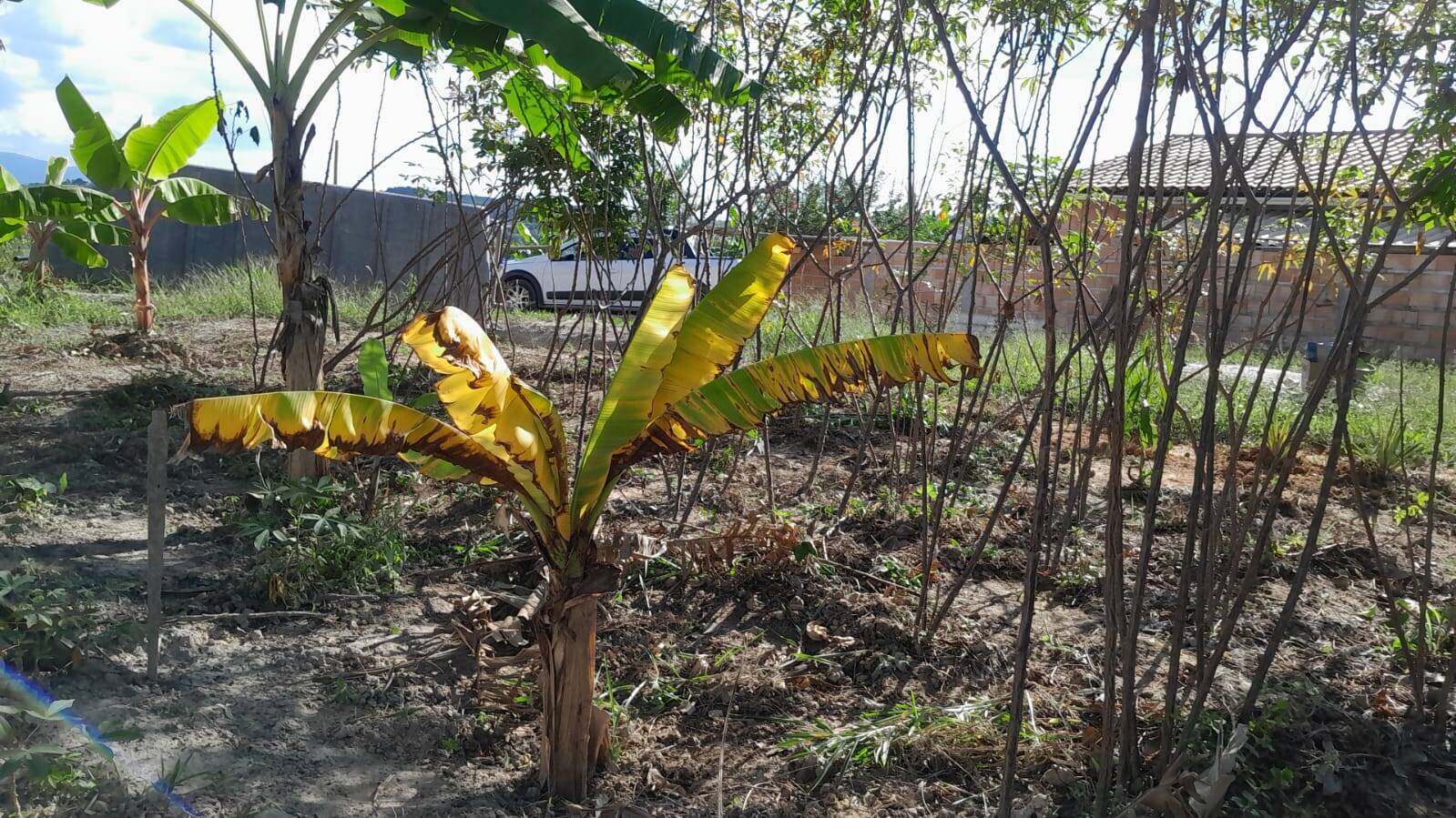 Lote à venda no Jardim Nazareno: 