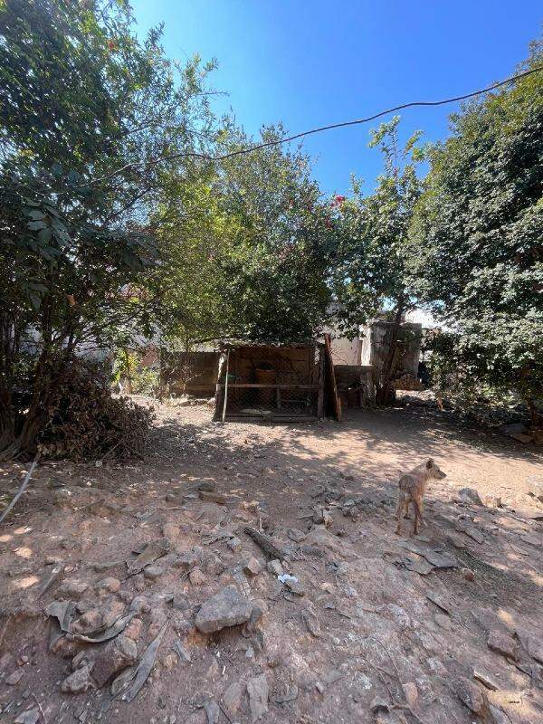 Lote à venda no Graças: 