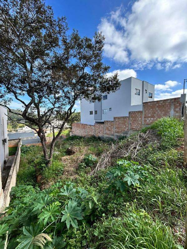 Lote à venda no Centenário: 