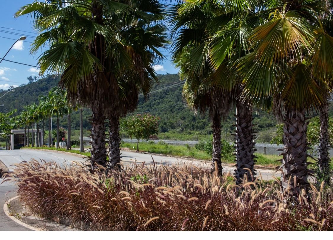 Lote à venda no Santanense: 
