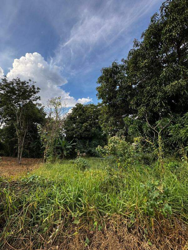 Lote à venda no Vila da Serra: 
