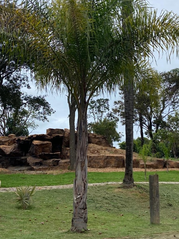 Chácara à venda no Condomínio Paraíso dos Coqueiros: 