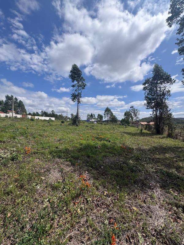 Chácara à venda no Angicos: 