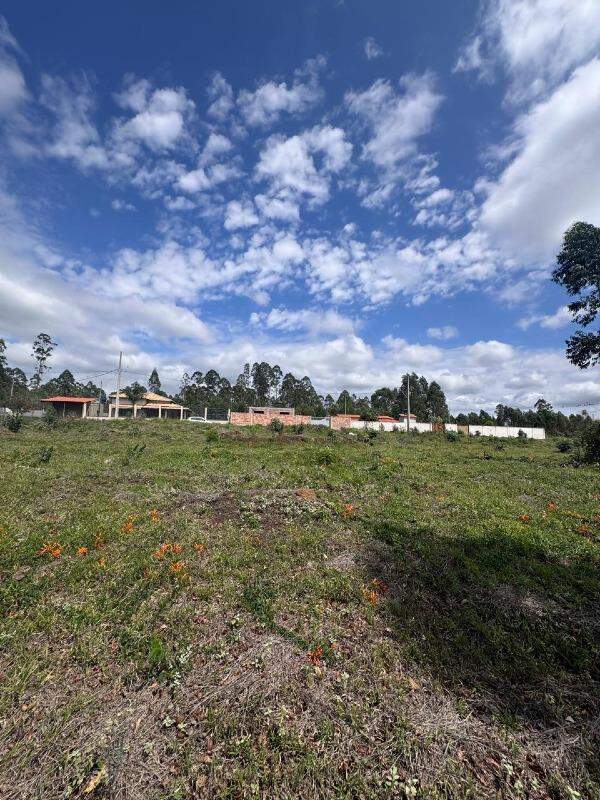 Chácara à venda no Angicos: 