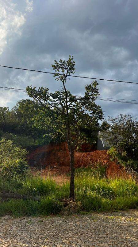 Lote à venda no Tropical: 
