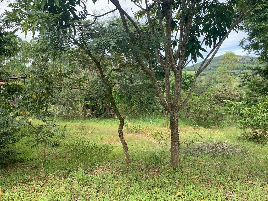 Chácara à venda no Córrego do Soldado: 