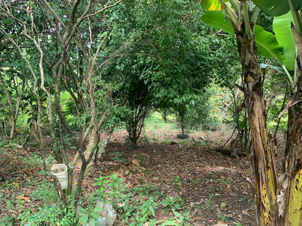 Chácara à venda no Córrego do Soldado: 