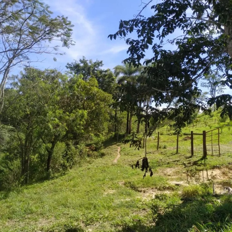 Sítio à venda no Carmo do Cajuru: 