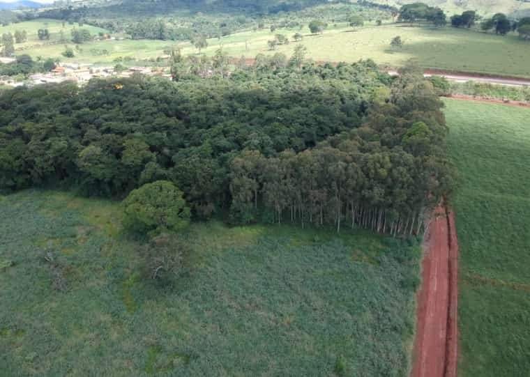 Lote à venda no BR 262: 