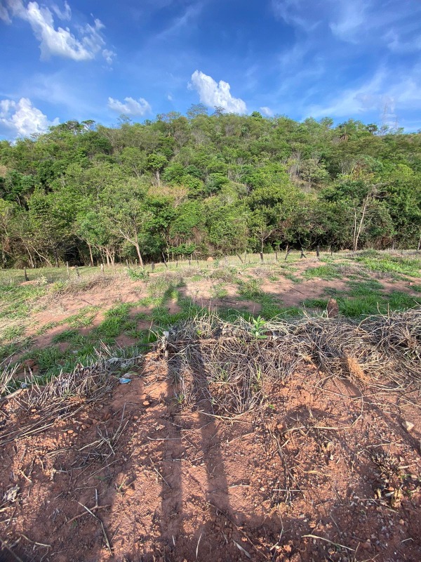Lote à venda no Centenário: 