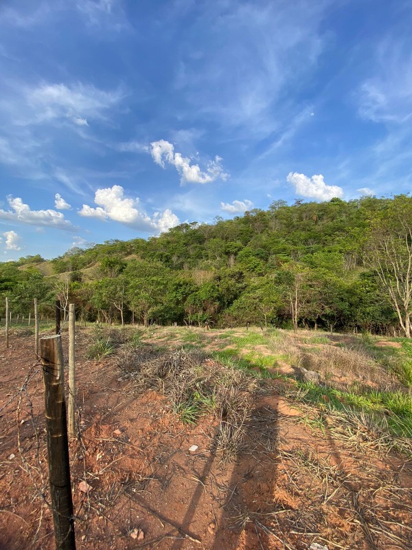 Lote à venda no Centenário: 