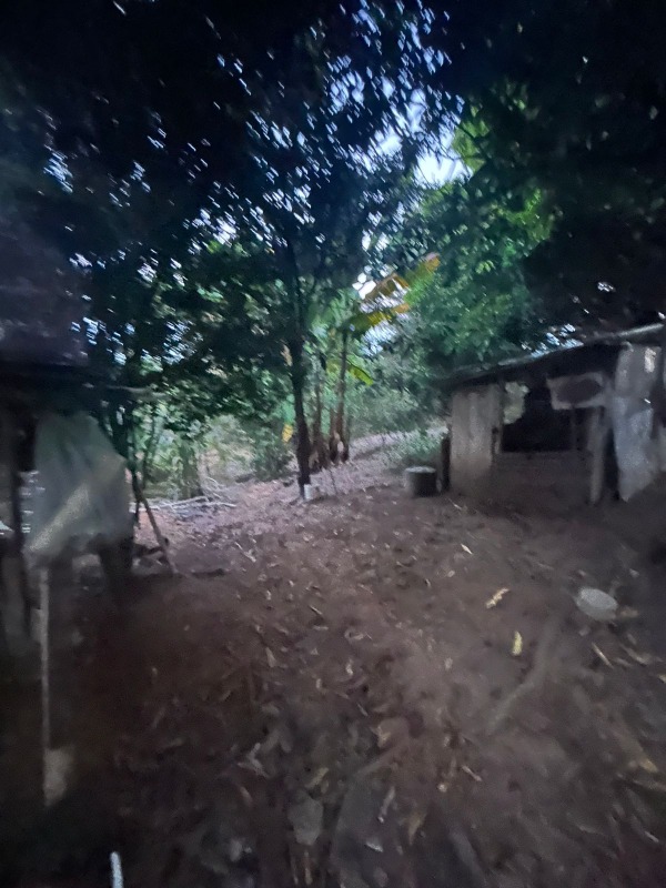 Chácara à venda no Lopes : 