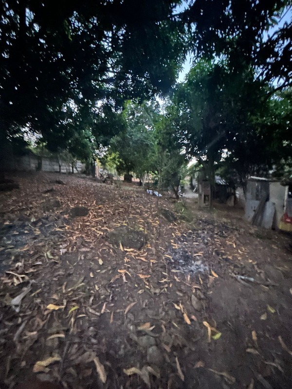 Chácara à venda no Lopes : 