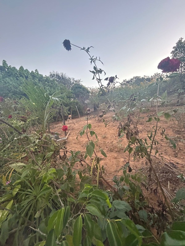 Chácara à venda no Lopes : 