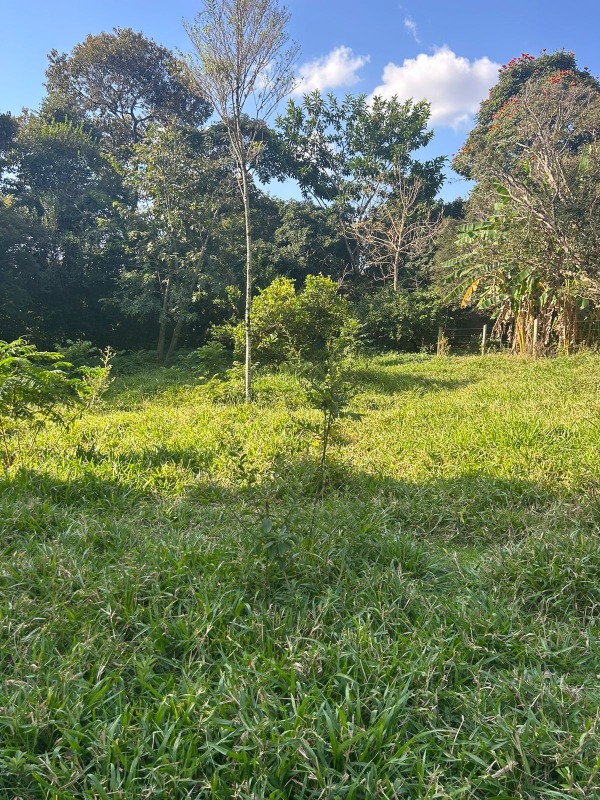 Sítio à venda no Campos: 