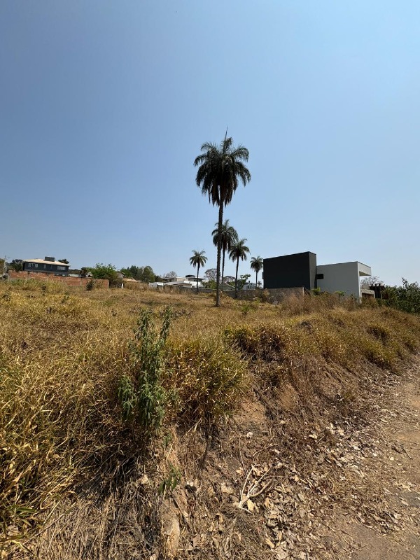 Lote à venda no Recanto dos pássaros : 