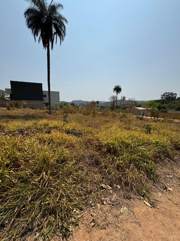 Lote à venda no Recanto dos pássaros : 