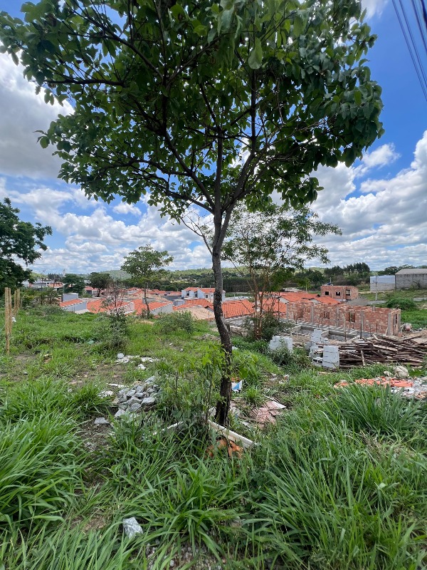 Lote à venda no João Paulo II: 