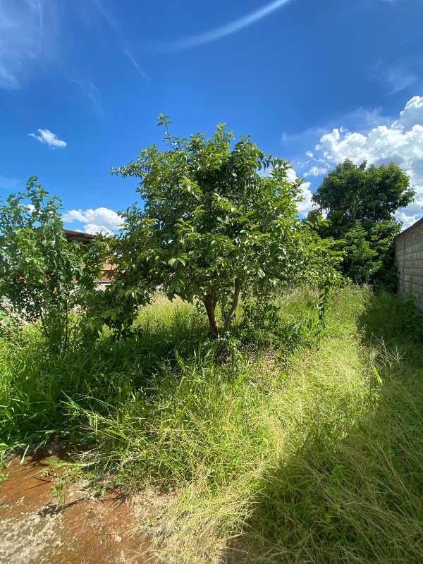 Lote à venda no Parque Jardim: 