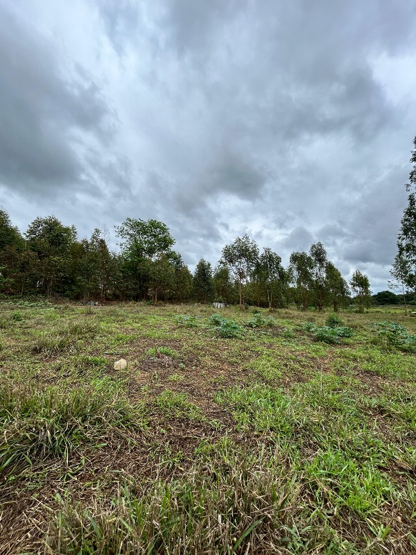 Chácara à venda no Bagaginha: 