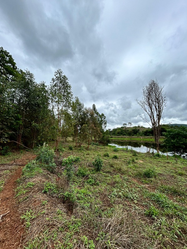 Chácara à venda no Bagaginha: 