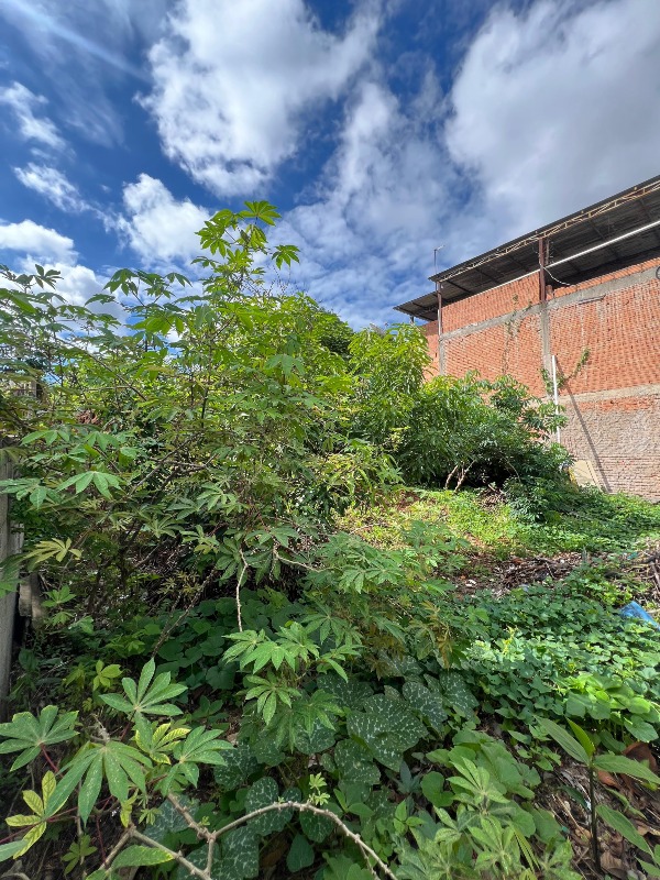 Lote à venda no Veredas: 