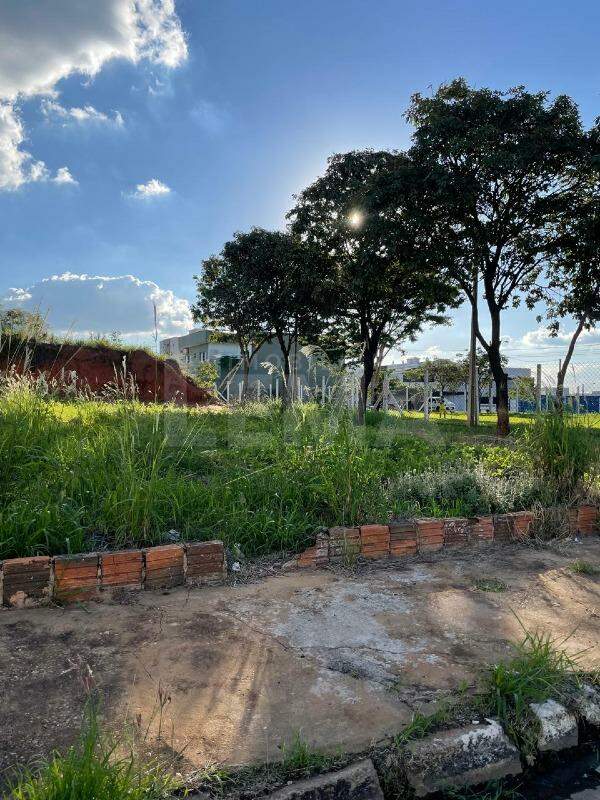Lote à venda no Jardim Campo Belo II: 