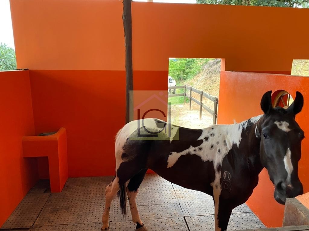 HARAS à venda no Campos de Santo Antonio: Foto 02