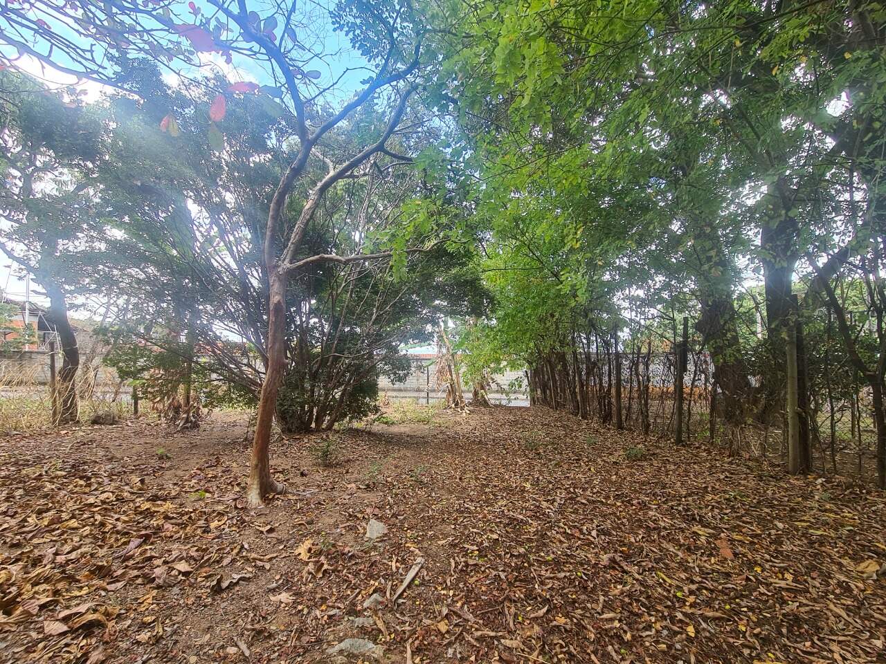 Lote à venda, no Trevo.: 