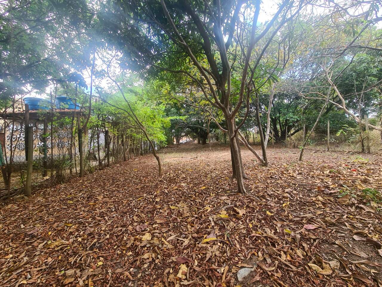Lote à venda, no Trevo.: 